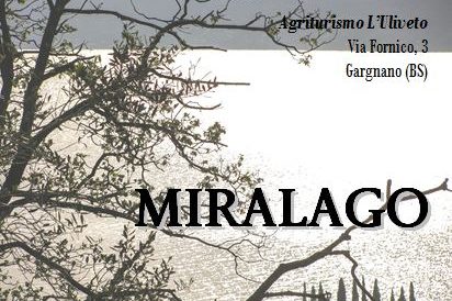 Agriturismo l'Uliveto - Appartamento Miralago